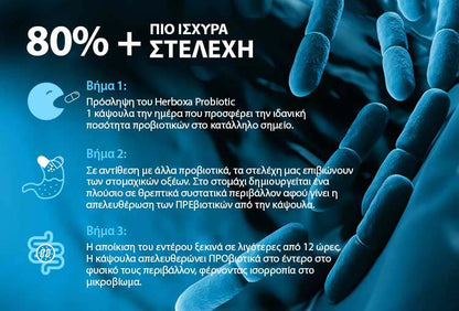 Herboxa Probiotic 60 Billion | Συμπλήρωμα Προβιοτικών 30 ταμπλέτες