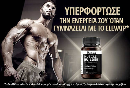 Herboxa Muscle Gain Supplement | Συμπλήρωμα μυϊκής ανάπτυξης