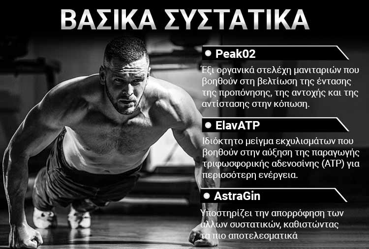 Herboxa Muscle Gain Supplement | Συμπλήρωμα μυϊκής ανάπτυξης