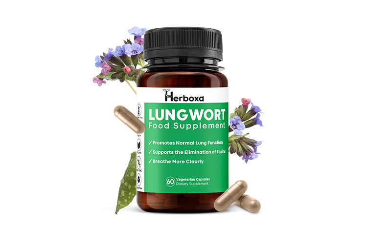 Herboxa Lungwort | Φυτικό συμπλήρωμα διατροφής υποστήριξης των πνευμόνων